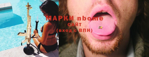 крисы Горняк