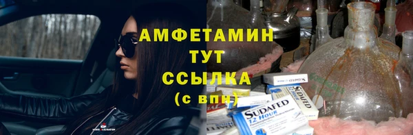 крисы Горняк
