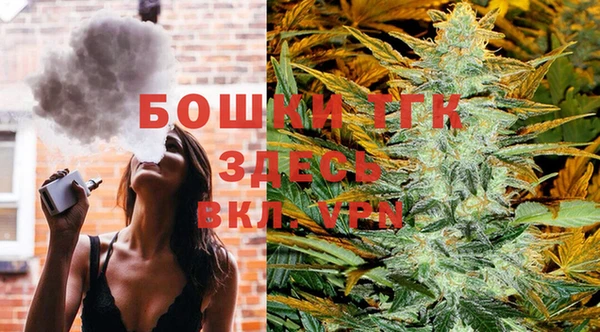 крисы Горняк