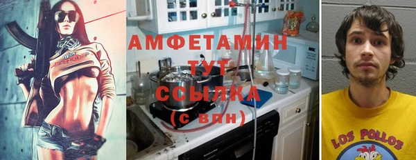 крисы Горняк