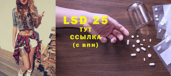 крисы Горняк