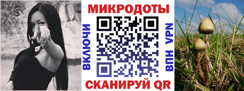 Псилоцибиновые грибы MAGIC MUSHROOMS  где найти   Дигора 